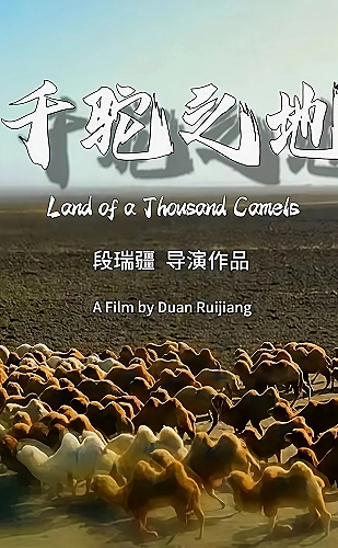 我们愉快的好日子